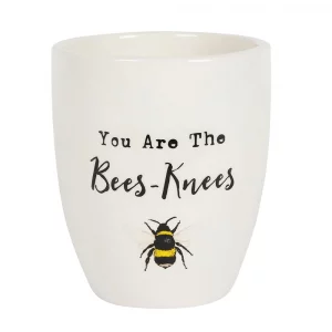 You are the bees knees ceramic pot.