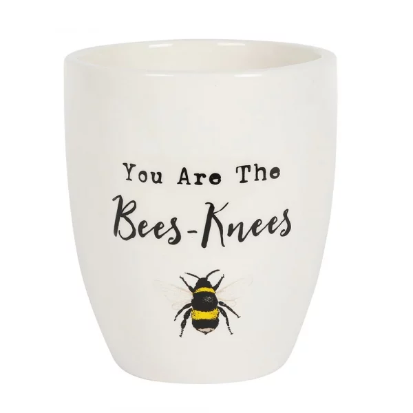 You are the bees knees ceramic pot.